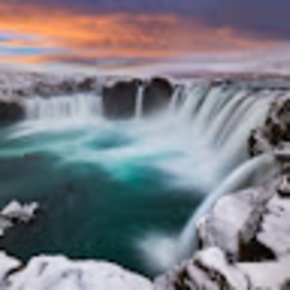 Meet your Posher, Joel - Picture 1 of 1